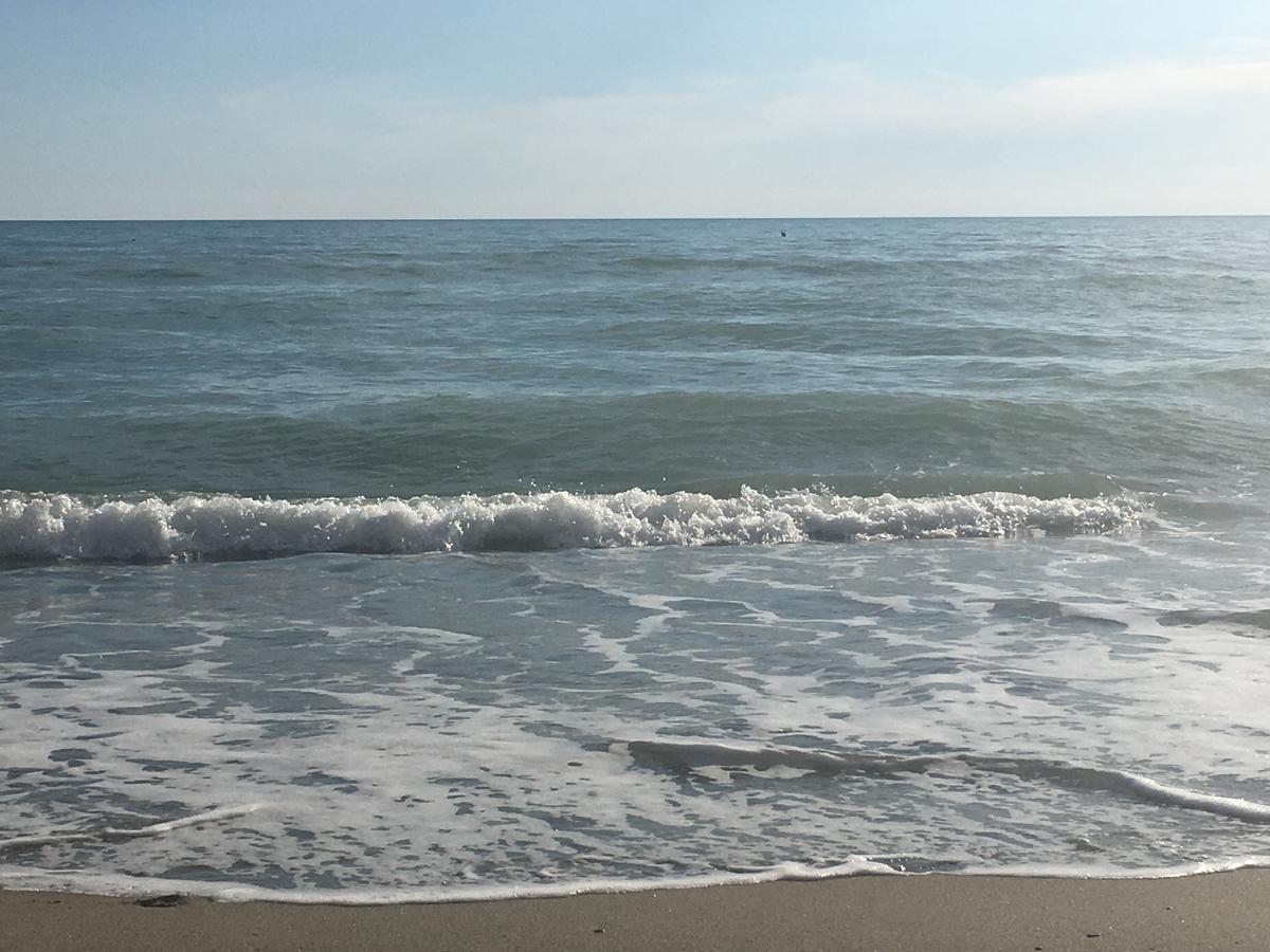 African Beach Otel Ippocampo Dış mekan fotoğraf